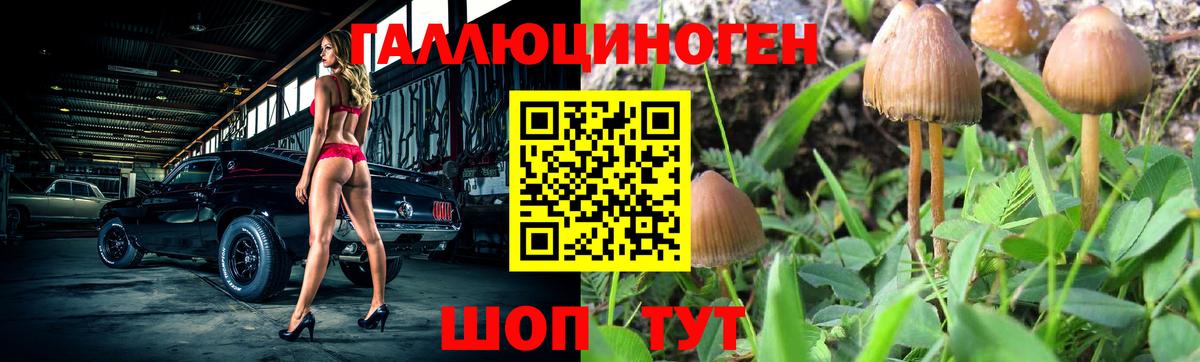 Псилоцибиновые грибы мицелий Астрахань