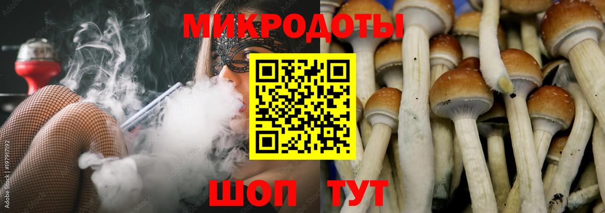 Астрахань  Галлюциногенные грибы мицелий  как найти закладки  Псилоцибиновые грибы Cubensis  Вход с VPN 